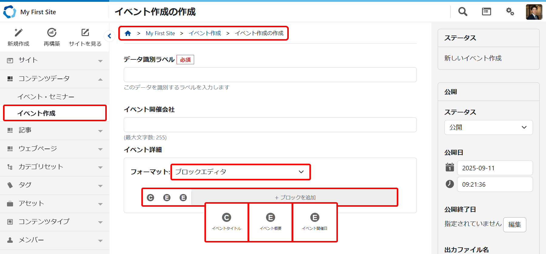 「コンテンツタイプ」投稿画面の確認
